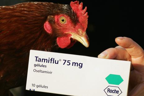 L�efficacit� du Tamiflu suscite des doutes et pousse certains pays � constituer des stocks d�un autre antiviral, le Relenza.  | REUTERS/ROBERT PRATTA
